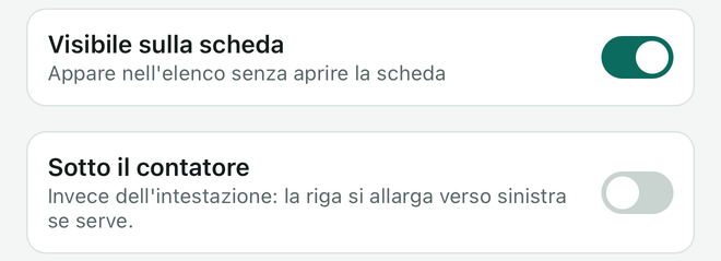 Le impostazioni Visibile sulla scheda e Sotto il contatore, la prima attivata.